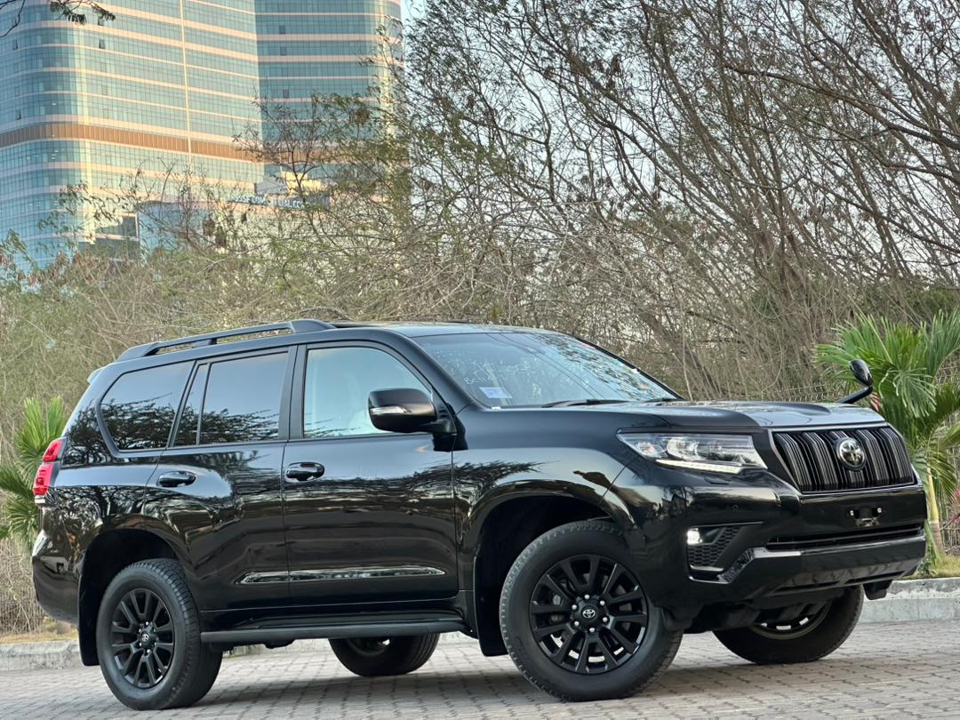 LandCruiser PRADO TX